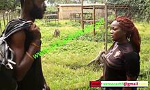 Encuentro caliente en el zoológico de los países - Mboa xvideos única ofreciendo