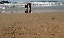 Pravi par se na plaži razkazuje nagi v javnosti